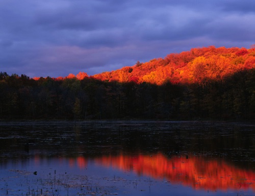 Goofy Swamp at Sunset, Sparta Mountains, Sussex County, NJ (MF).jpg